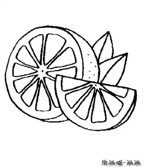 水果简笔画橘子瓣