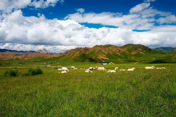 青海,都兰:在那遥远的地方.