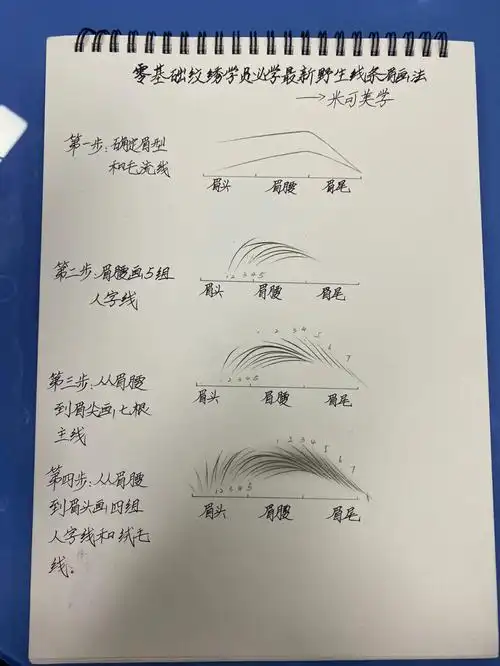 零基础纹绣学员必学最新野生线条眉画法
