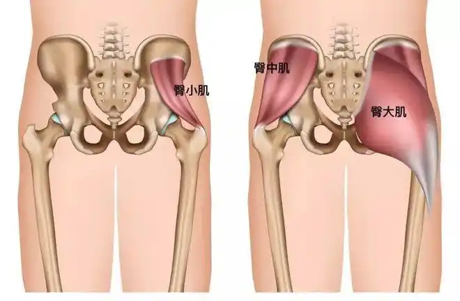 春季魔法训练女生练对了桃花自然来