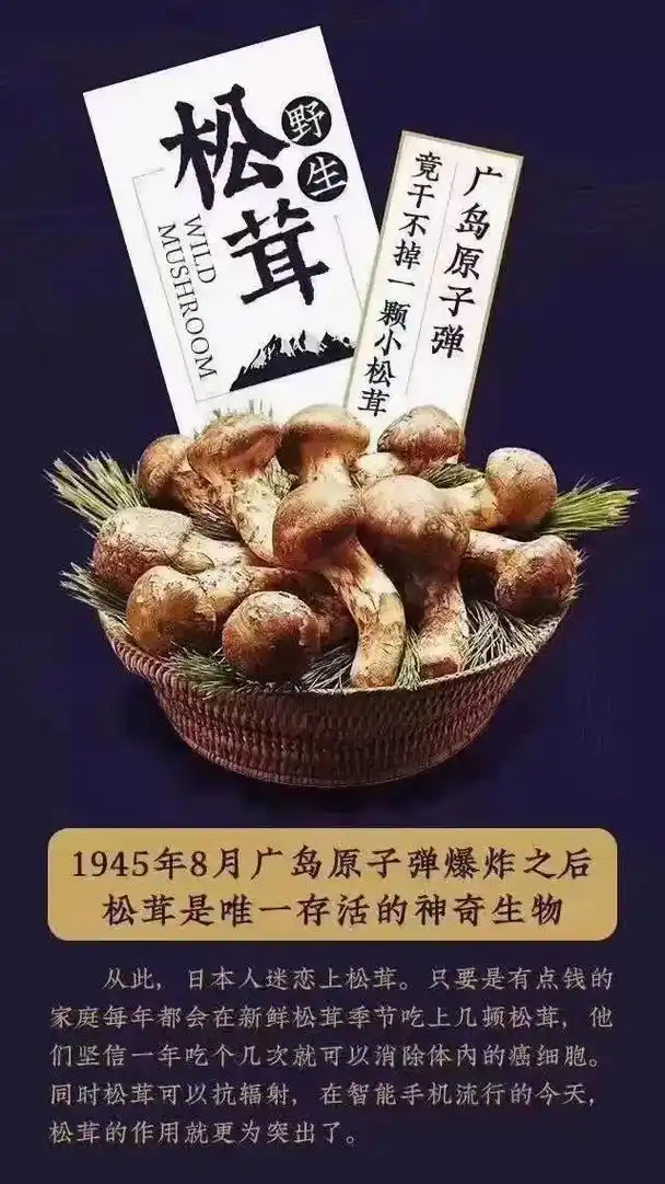 野生松茸 什么是松茸? 松茸是我国二级濒危物种,营养价值极高