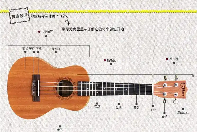 演奏 尤克里里初学者学生ukulele23寸乌克丽丽小吉他成人女 uk-26