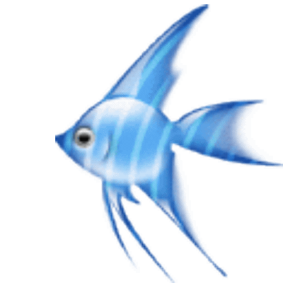 鱼儿鱼儿鱼儿水中游