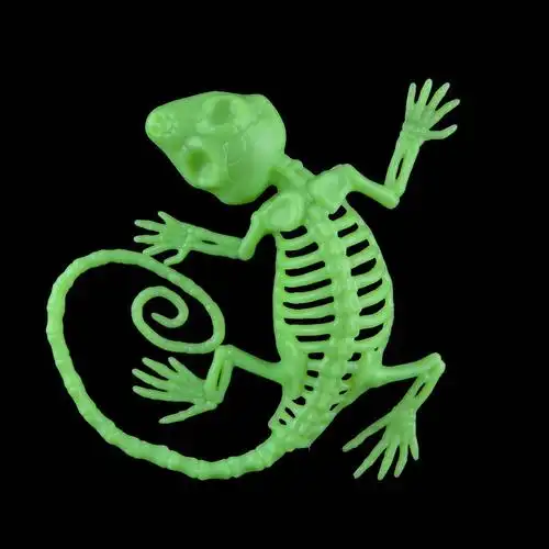 恐怖整蛊玩具 万圣节装饰道具 夜光色壁虎模型蜥蜴玩具仿真动物蛇