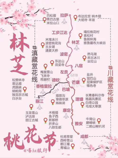 366条路线带你去看最美的林芝桃花