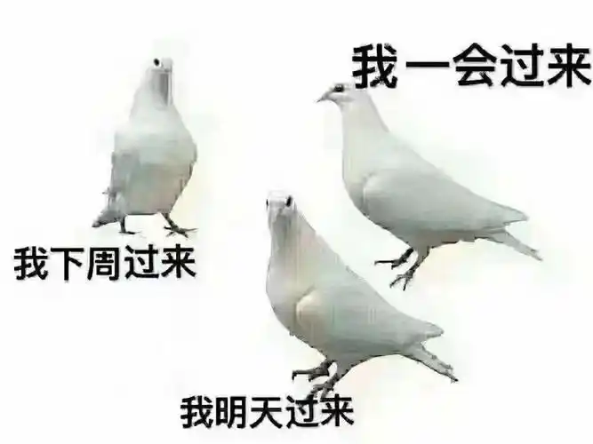 鹅这像不像你放我的那只鸽