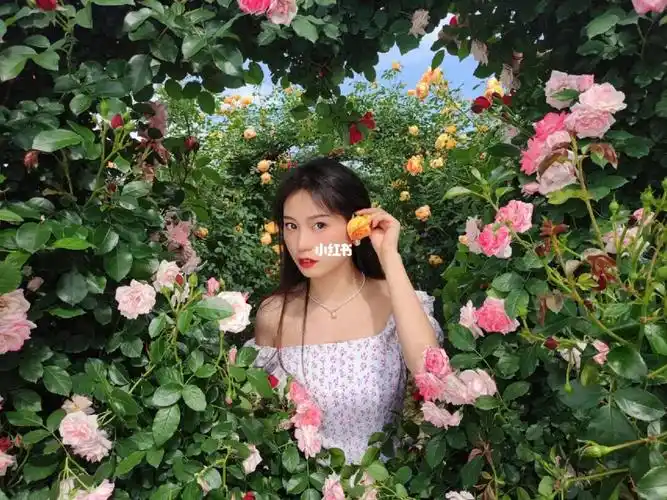 浪漫至死不渝#浪漫  #玫瑰花拍照  #拍照姿势