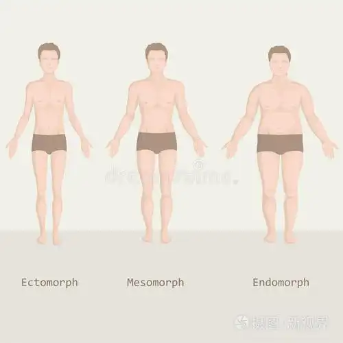 男人的体型从肥胖到健康