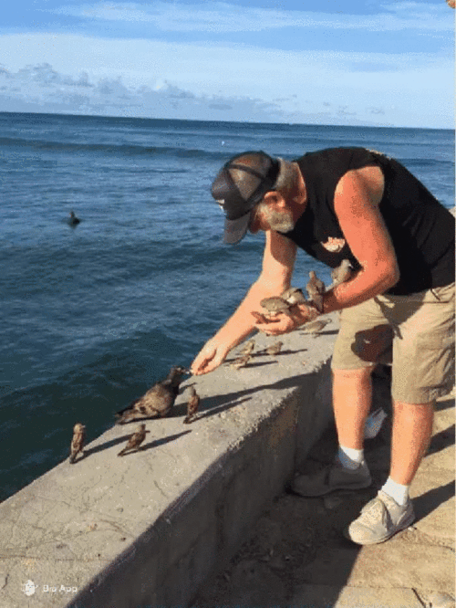 热点热门 萌宠表情 萌娃表情 斗图表情 锦鲤 土味语录 套路图 来自