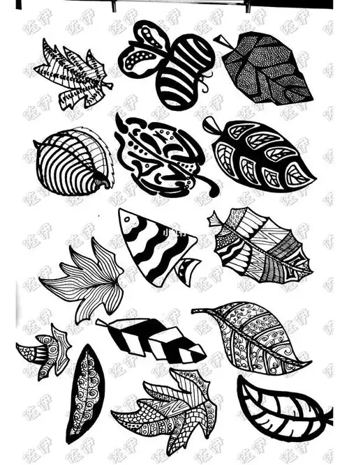 装饰图案叶子的变形训练