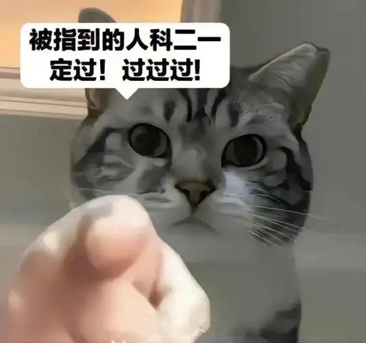 接好运还没考科目二都能一把过