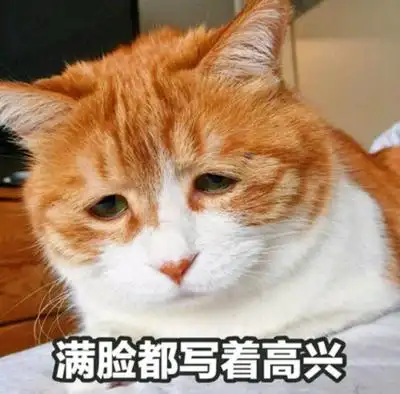 单身就是好,我好开心