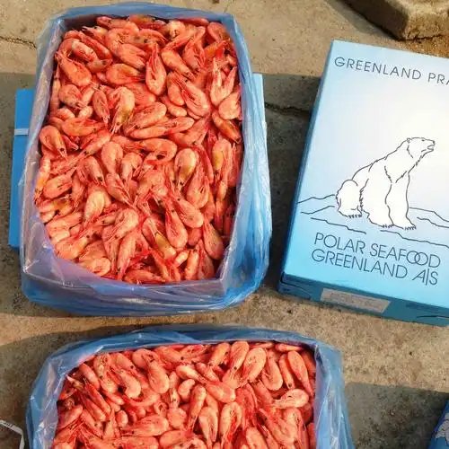 批发5kg北极熊腹籽甜虾丹麦进口北极虾休闲海鲜90120