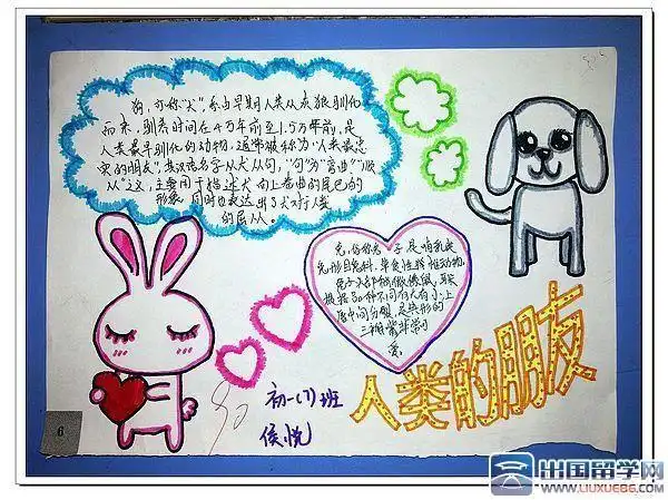 一年级科学观察动物手抄报一年级科学手抄报