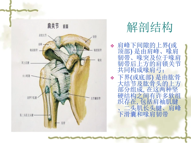 肩峰下撞击综合征夏璐培训资料.ppt 18页