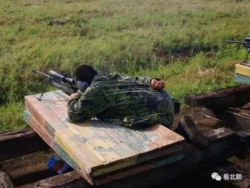 一千米外的杀机实拍sv98狙击步枪