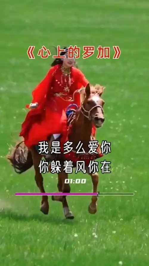 歌曲心中的罗加吴达仁翻唱