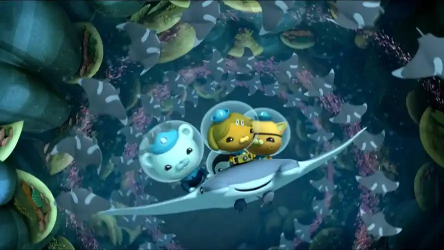 海底小纵队第二季:魔鬼鱼掉队,小纵队帮助她及时赶赴盛宴