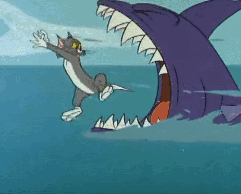 世界上最快的鲨鱼正以10倍自然死亡的速度消失