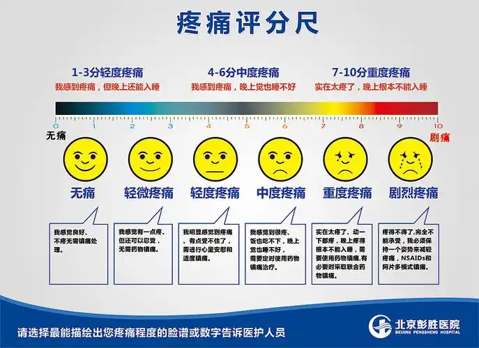 收藏 桌牌 收藏 易拉宝 收藏 背景板 收藏 收藏 收藏 展板——疼痛