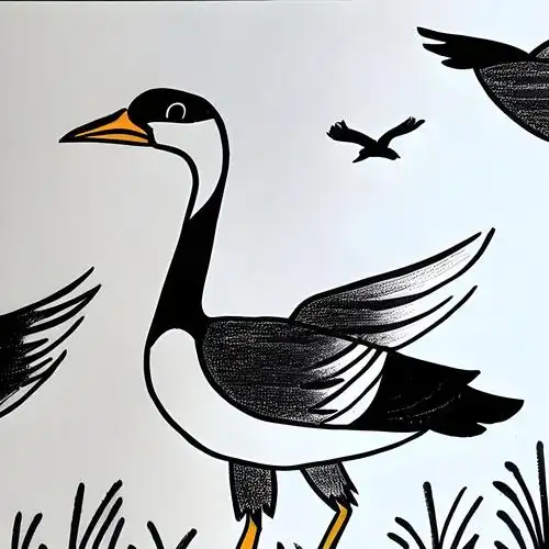 大雁简笔画三步 儿童