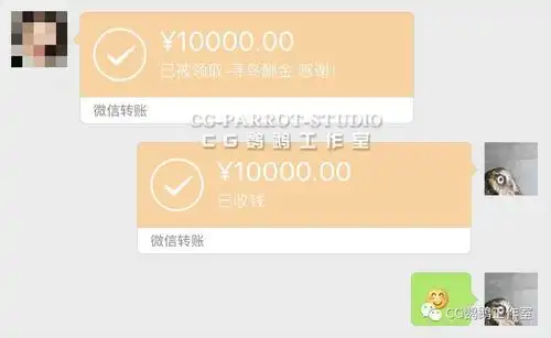 支付如果有人捡到了这只小金凯转到我们的账户鸟主人已将10000元酬金