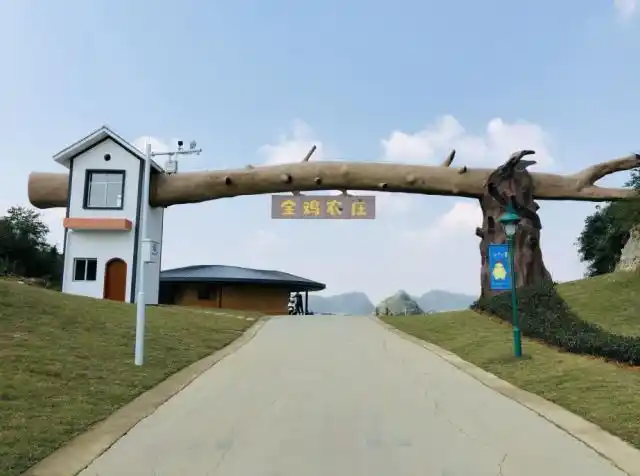 从金鸡农庄的大门进入,我才开始理解了金鸡农庄所提倡的,每个人都是