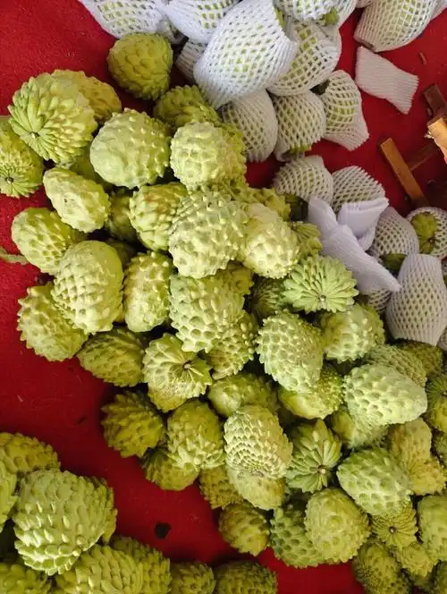 豆芽福利#  转发本微博即可,抽一个人送出一份价值168元的凤梨释迦大