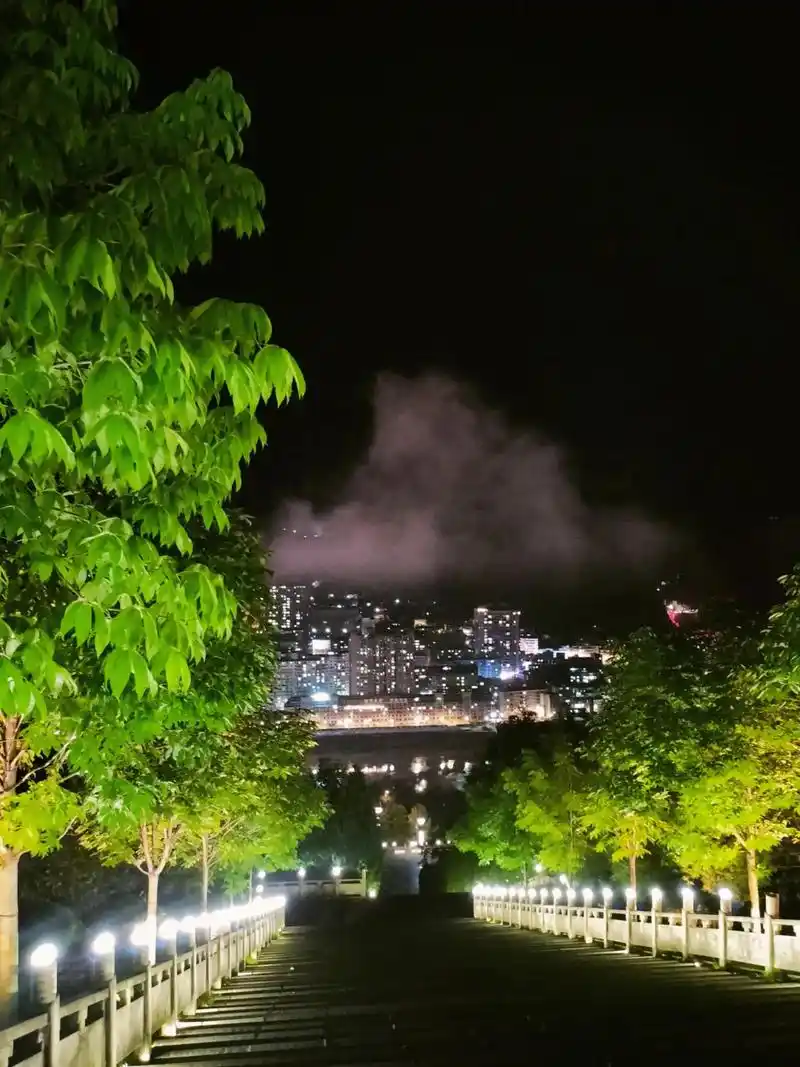 总要来趟紫阳吧,逛逛文笔山,看看紫阳的夜景,吹吹塔顶上的风. - 抖音
