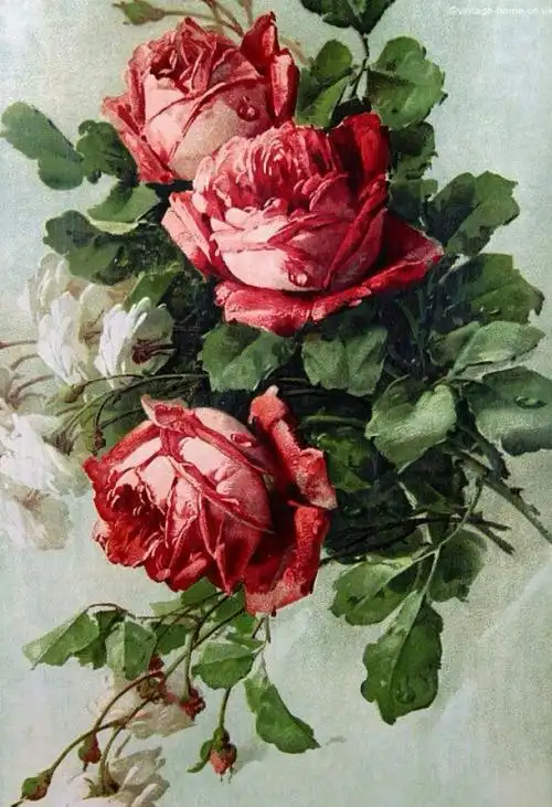 水彩画 - 堆糖,美图壁纸兴趣社区