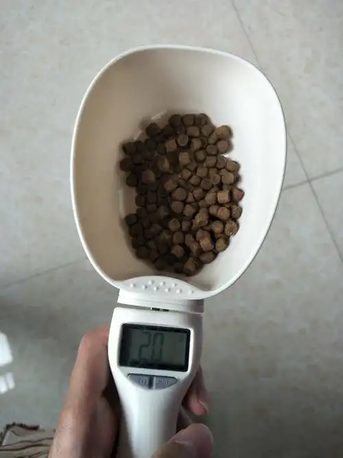 请教20克猫粮是多少粒电子称还在途