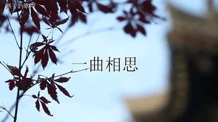 强子翻唱歌曲《一曲相思》