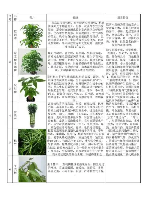 绿植简介