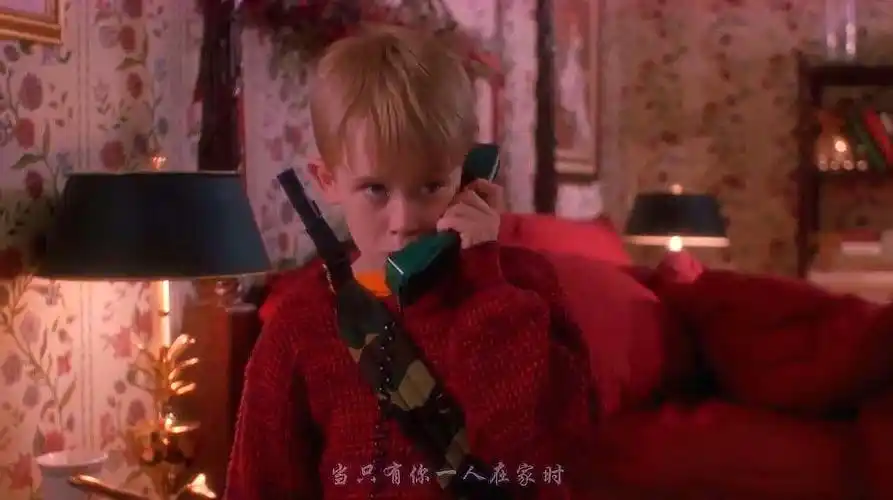 《小鬼当家》:八岁小孩与盗贼之间的斗智斗勇,能否取得胜利?