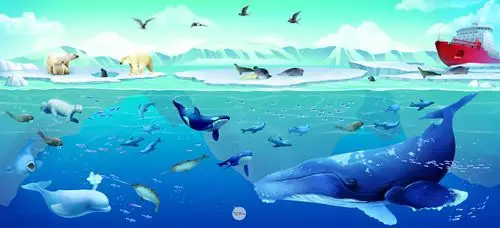 狐小贝动漫mate工程---海底下