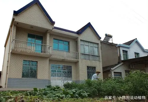 图为湖北宜昌农村农民居住的农房,家门口还有无公害菜园,农民的住房真