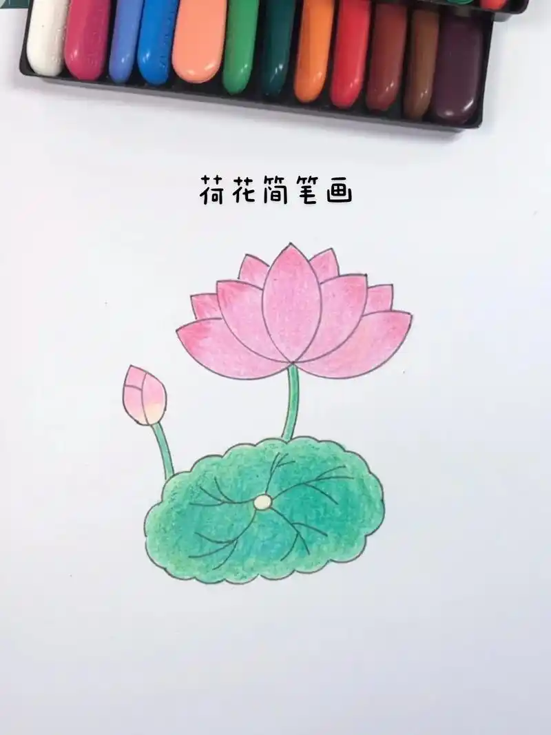 用绘图万花尺轻松画荷花.#简笔画#教程 #图文#文具安利 - 抖音