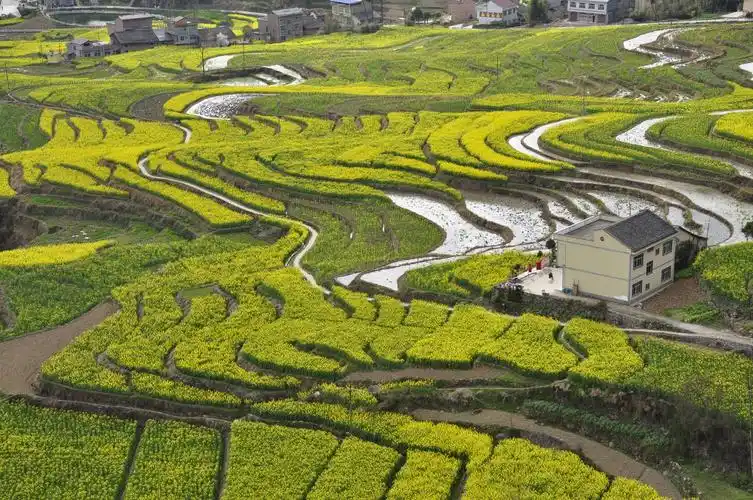 汉阴凤堰古梯田风光