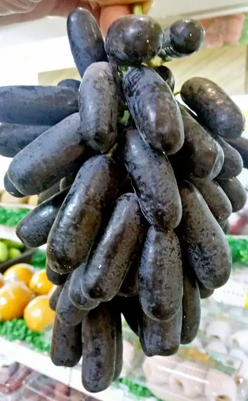 美国金手指黑提  尝鲜价:29.8元/斤