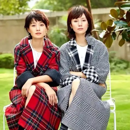 《我的前半生》第二部么?