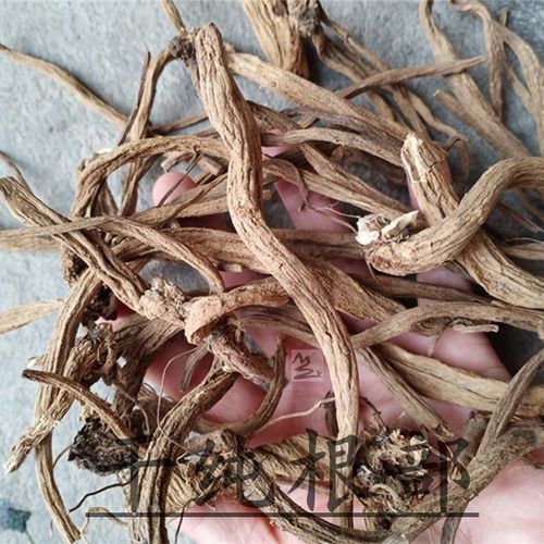 深山新鲜中草药大蓟根 刺萝卜 大刺盖 刺儿菜 纯根部 整棵带叶子 大蓟