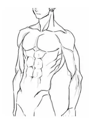 从肌肉插图的粗糙到阴影