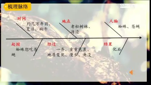 小助手还采用了思维导图的方式梳理了课文脉络,他采用的是思维导图里