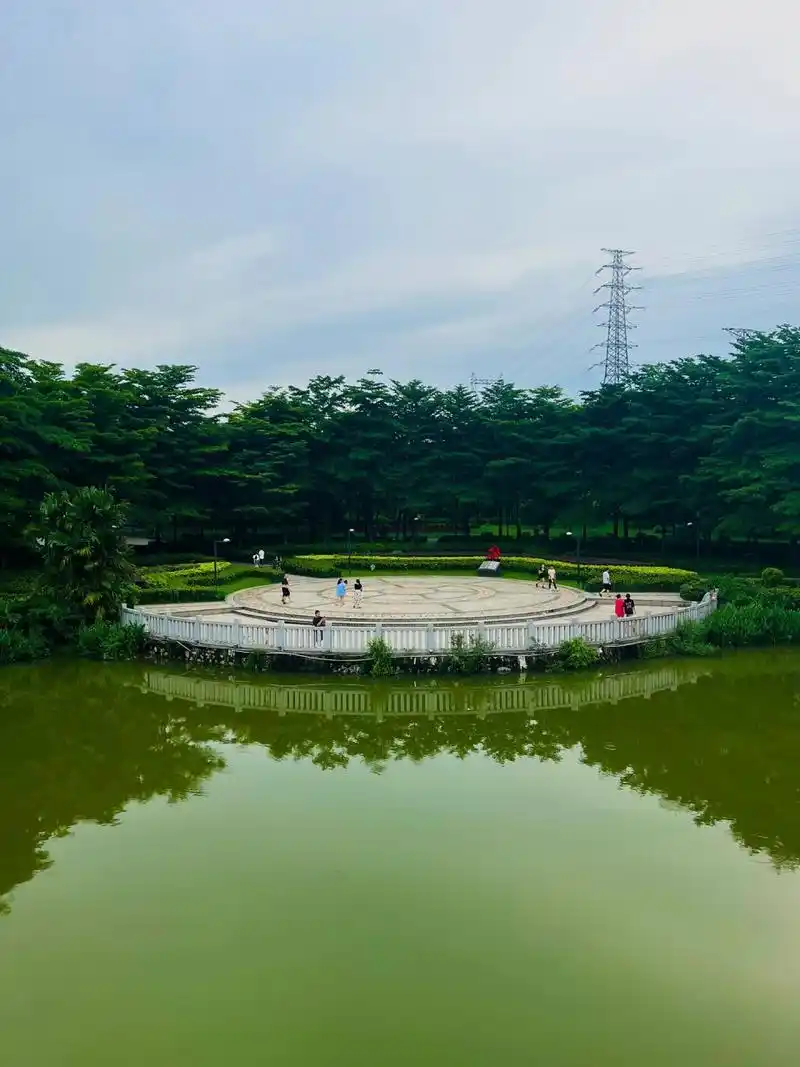 东莞周边打卡九·大朗荔香湿地公园【免费】 公园内自然生态保存完好