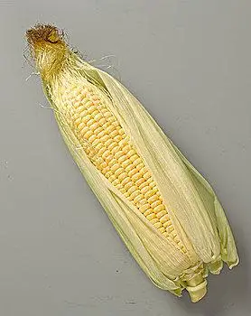 玉米
