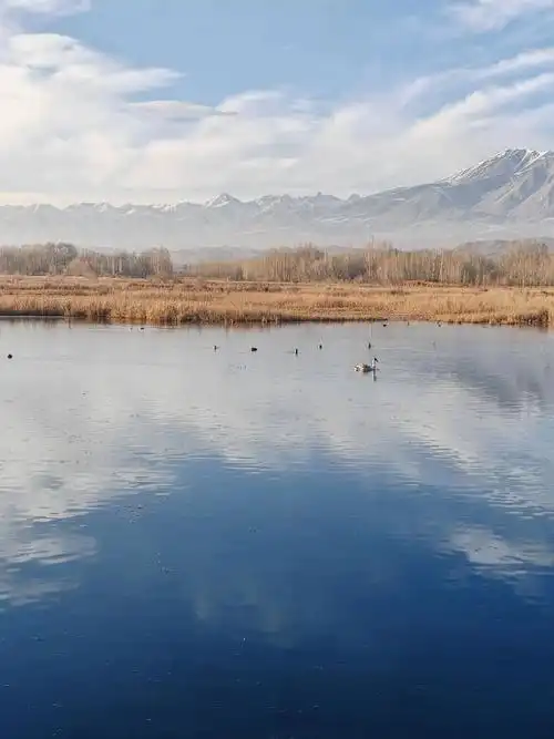 冬日的赛里木湖畔,美丽的温泉国家湿地公园,蓝天,白云,雪山, - 抖音