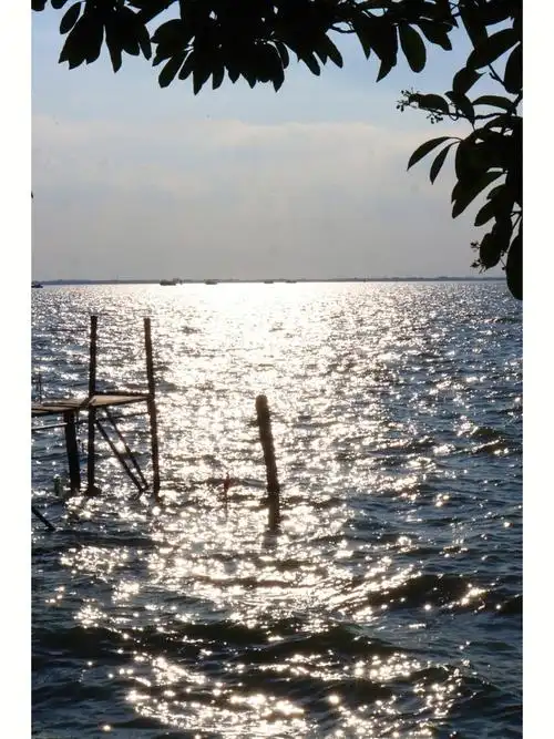 上海周边游淀山湖小渔村