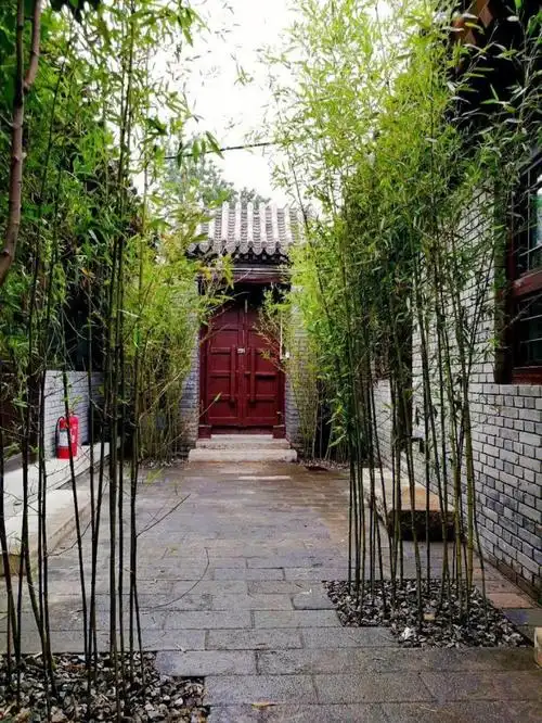 四合院出租一座庭院一种生活