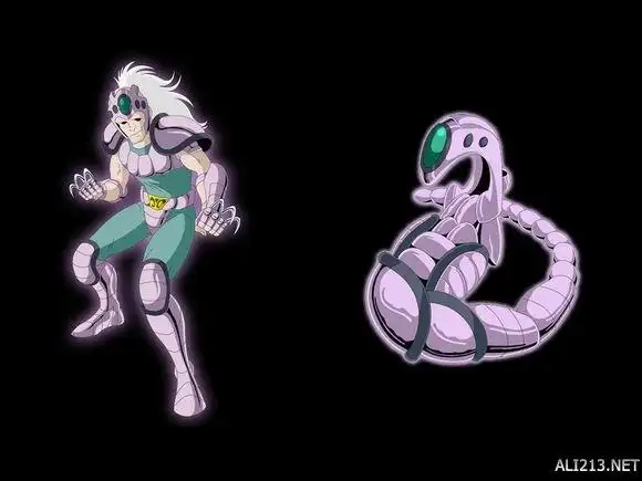 海蛇座圣斗士市是一位拥有动作有如蛇一般难以捉摸的青铜圣斗士,在