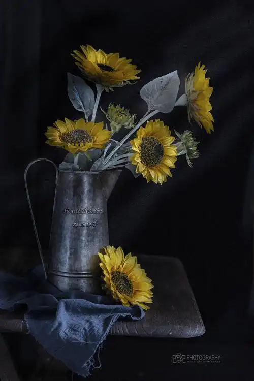 花|摄影|静物|zhupo - 原创作品 - 站酷 (zcool)